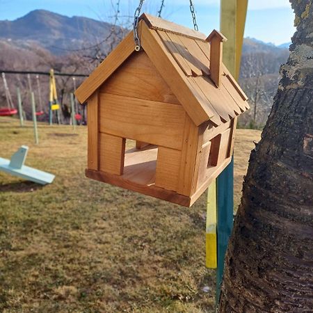 Pensiunea Tabacaru Пештера Екстер'єр фото