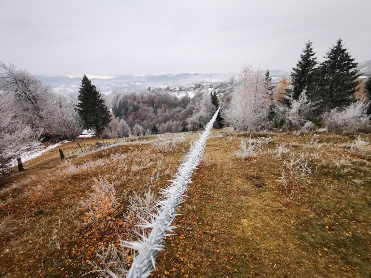 Pensiunea Tabacaru Пештера Екстер'єр фото