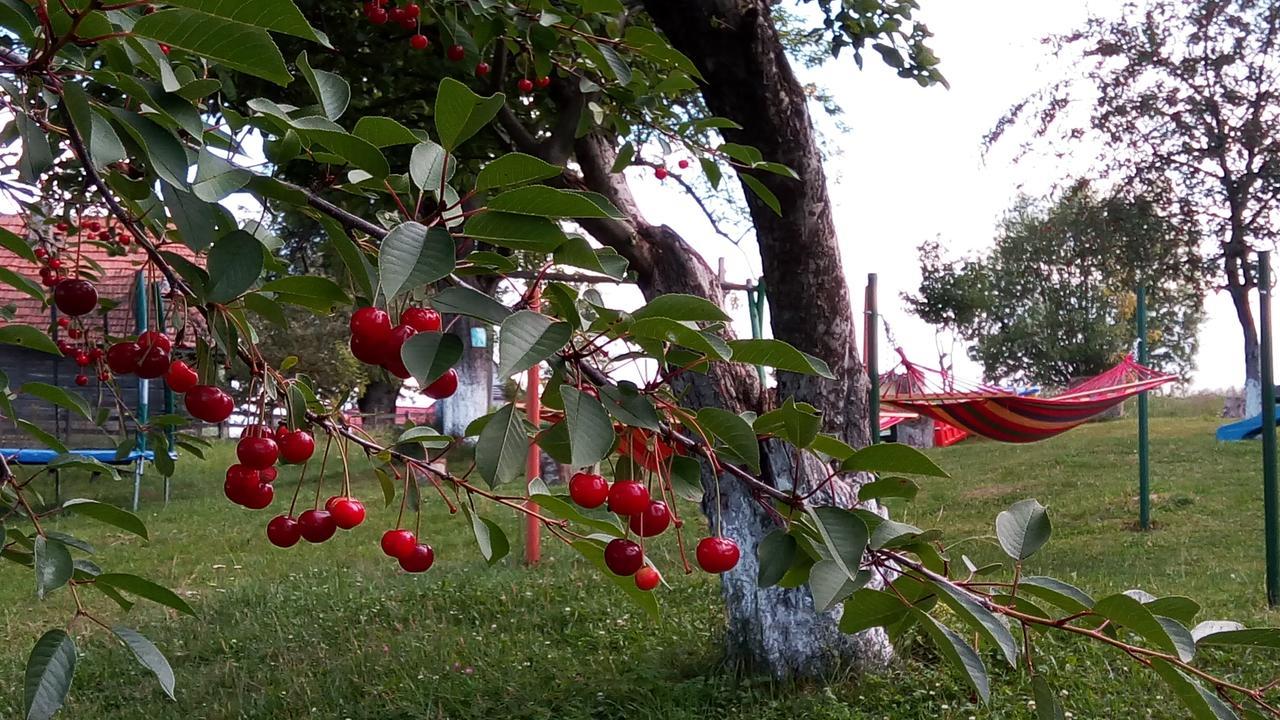 Pensiunea Tabacaru Пештера Екстер'єр фото