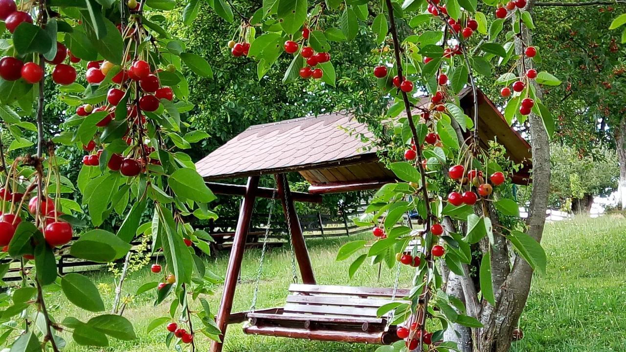 Pensiunea Tabacaru Пештера Екстер'єр фото