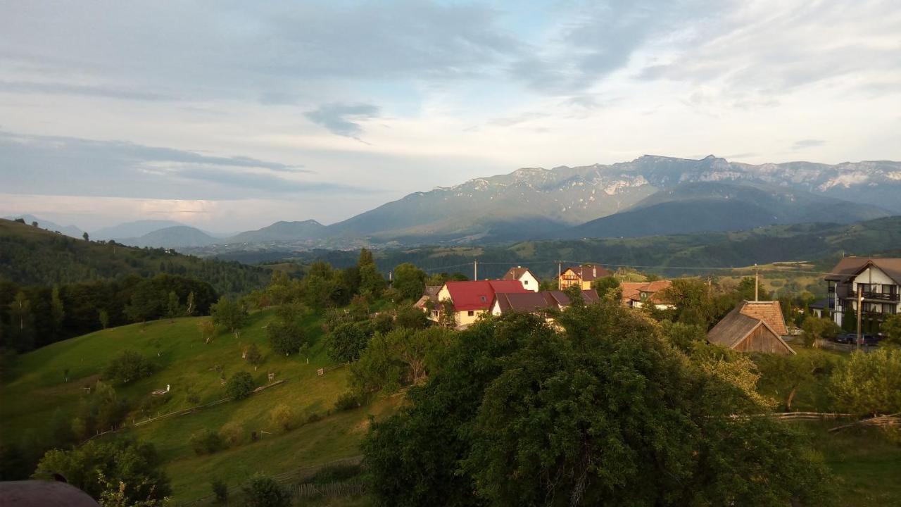 Pensiunea Tabacaru Пештера Екстер'єр фото