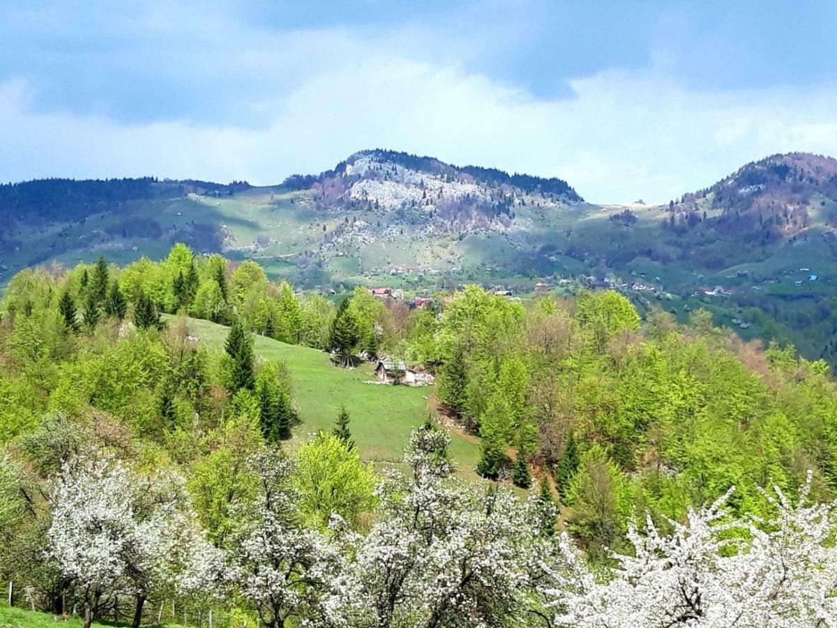 Pensiunea Tabacaru Пештера Екстер'єр фото