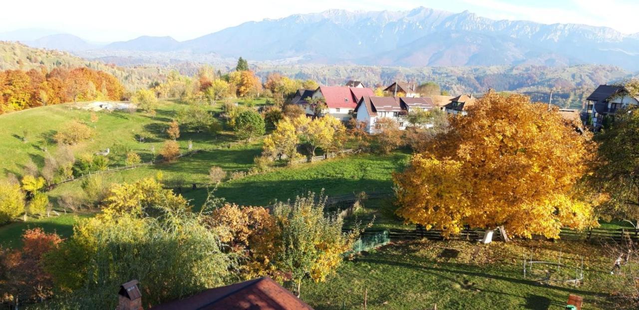 Pensiunea Tabacaru Пештера Екстер'єр фото